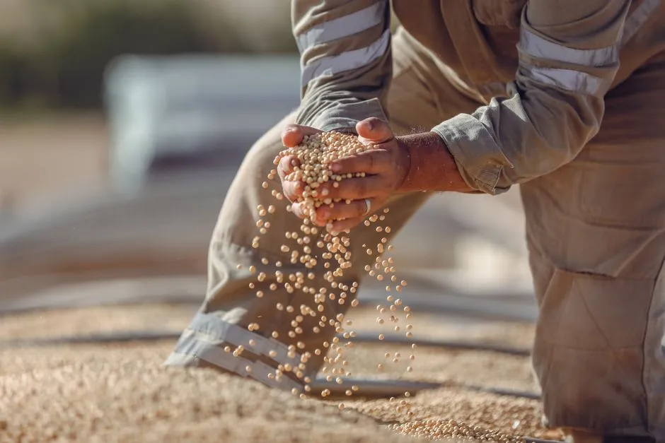 Trade Value vs Trade Volume: Read Growth Correctly